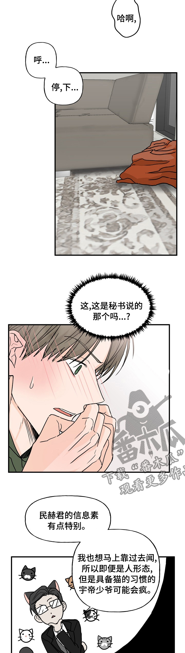 《幸运猫》第19章有点特别 第3页
