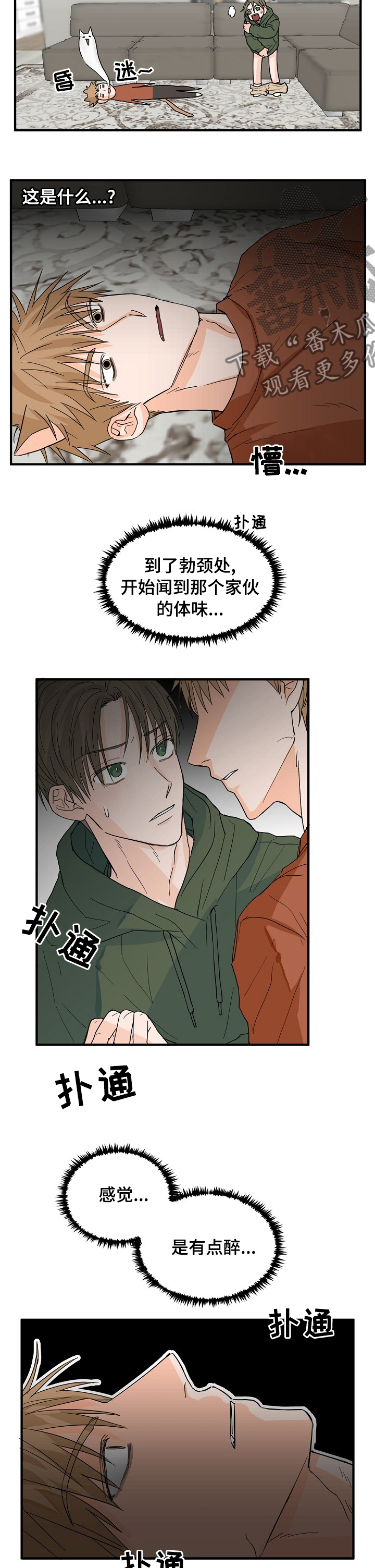 《幸运猫》第18章有点醉 第6页