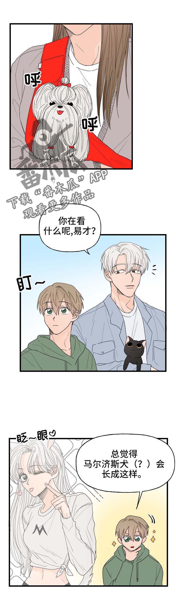 《幸运猫》第15章打击 第10页