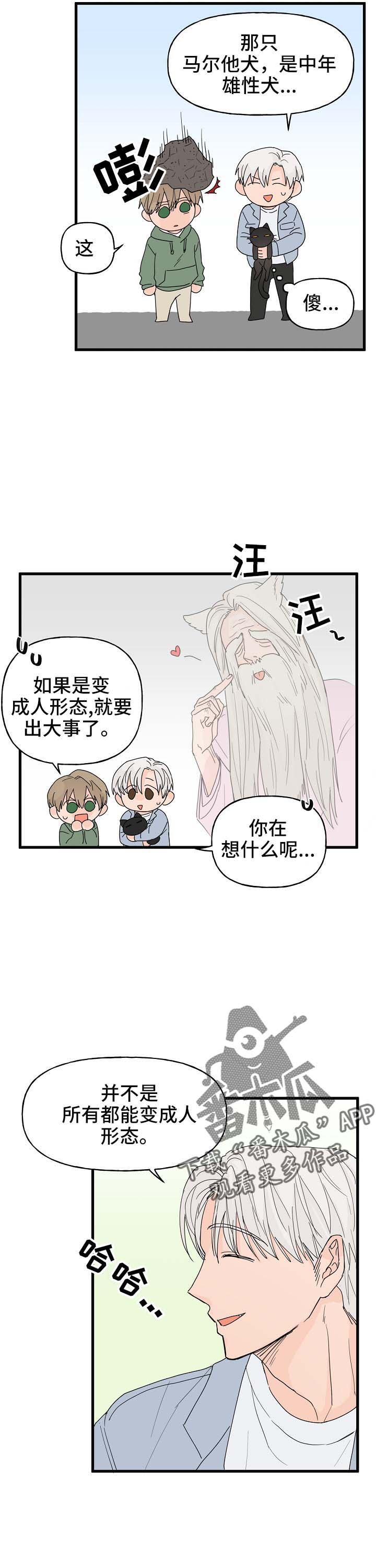 《幸运猫》第15章打击 第11页