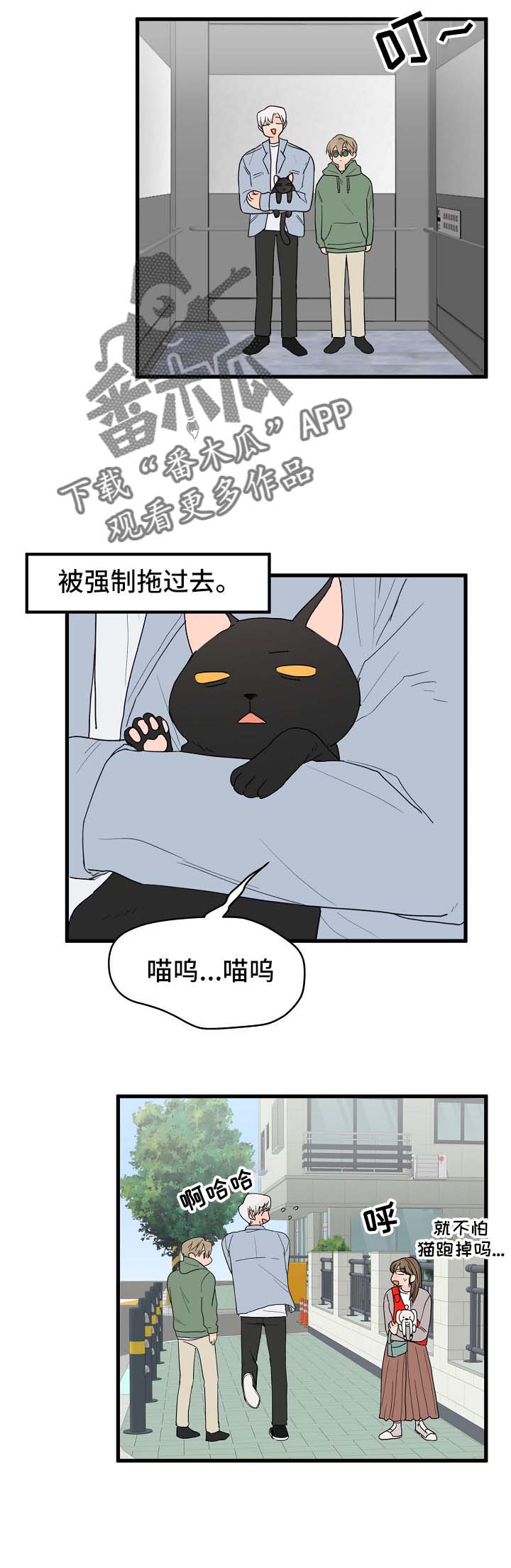 《幸运猫》第15章打击 第9页