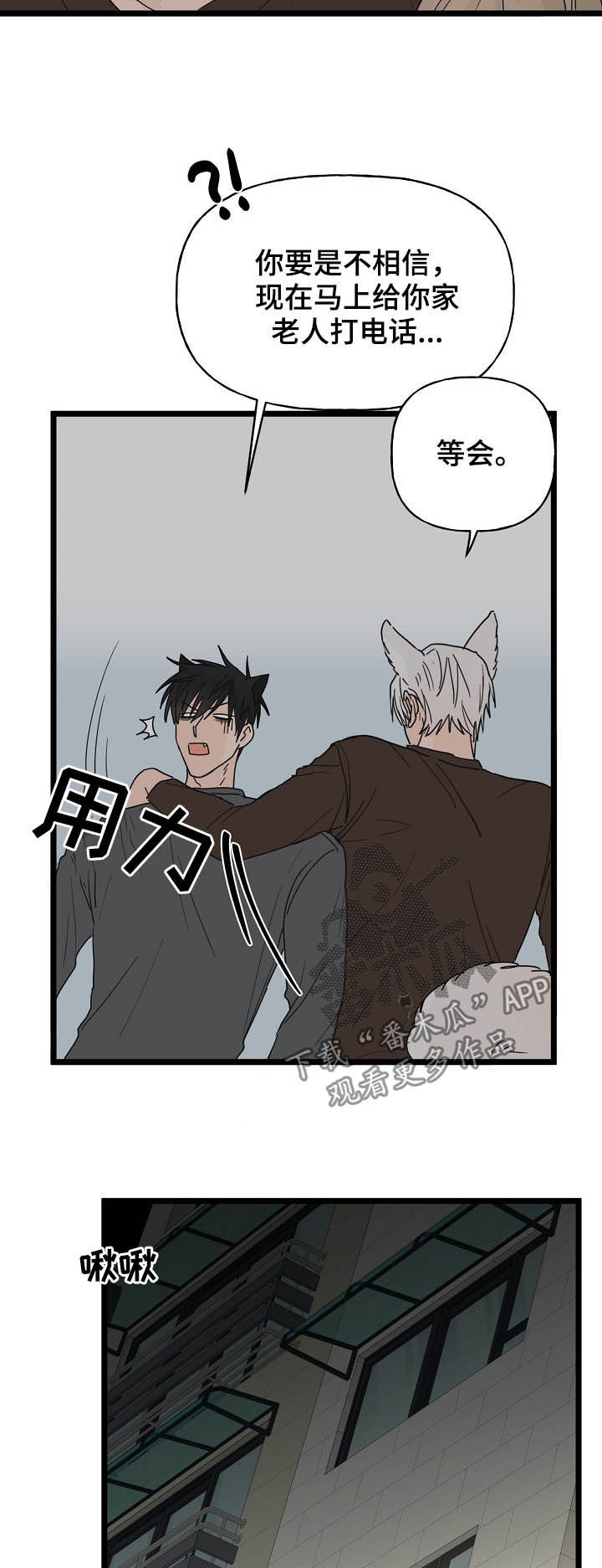 《幸运猫》第12章契约 第7页