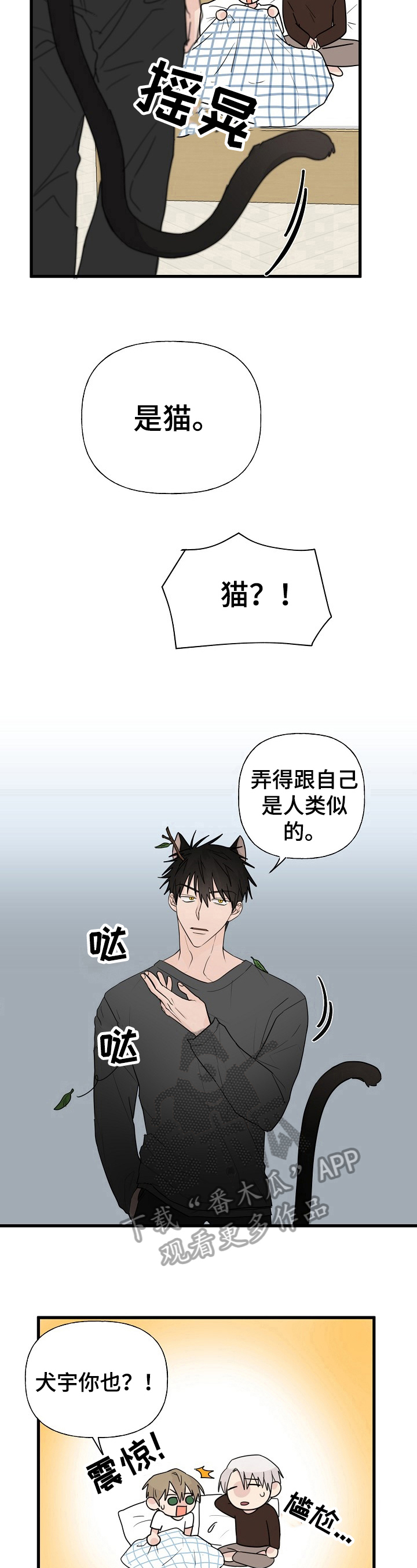 《幸运猫》第11章质问 第7页