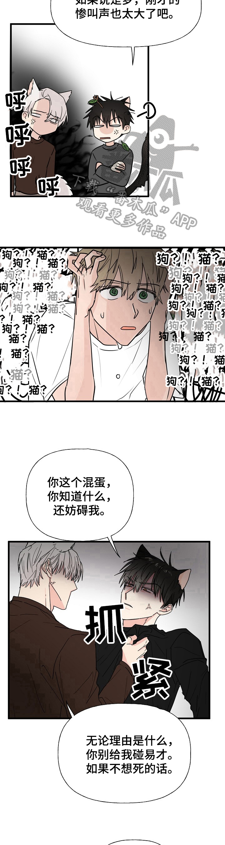 《幸运猫》第11章质问 第9页