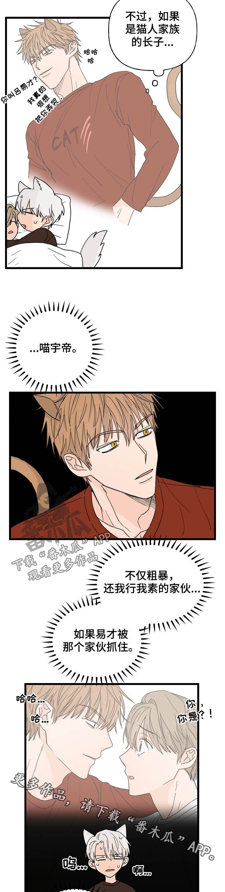 《幸运猫》第13章诅咒 第12页