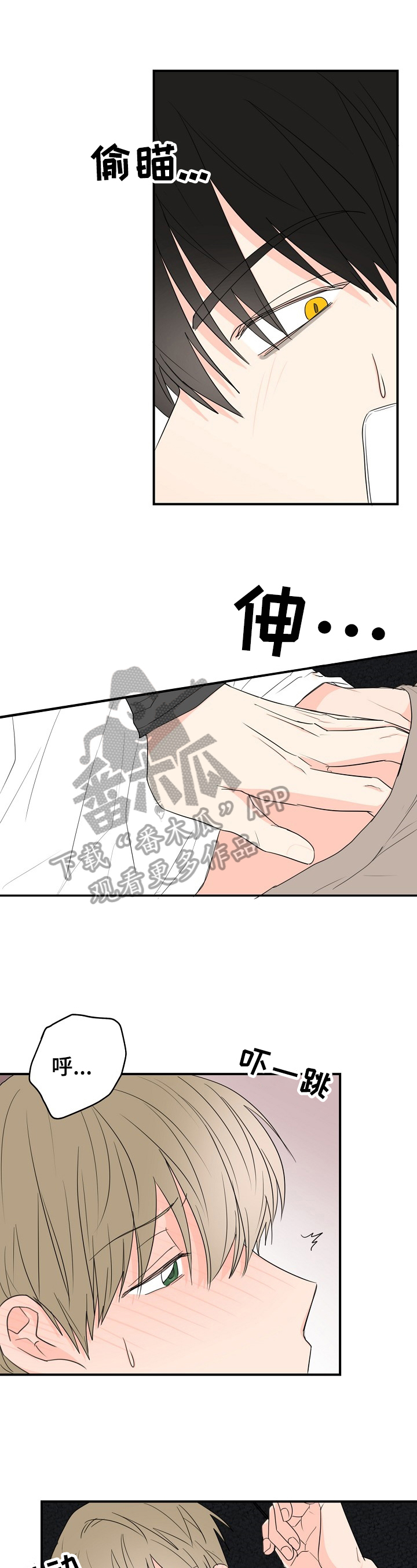 《幸运猫》第6章打扰 第1页