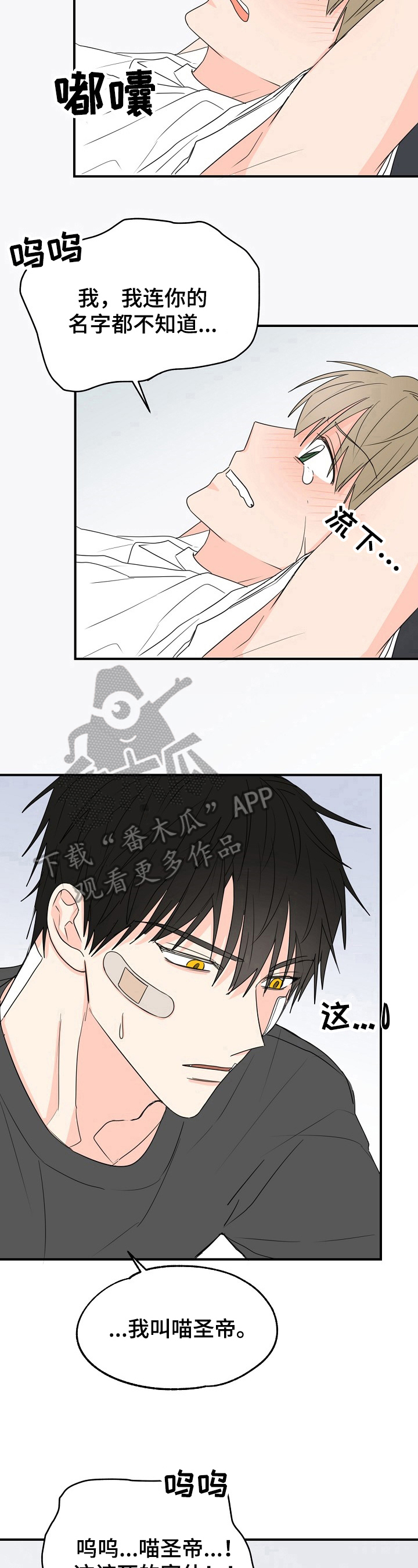 《幸运猫》第5章可爱 第9页