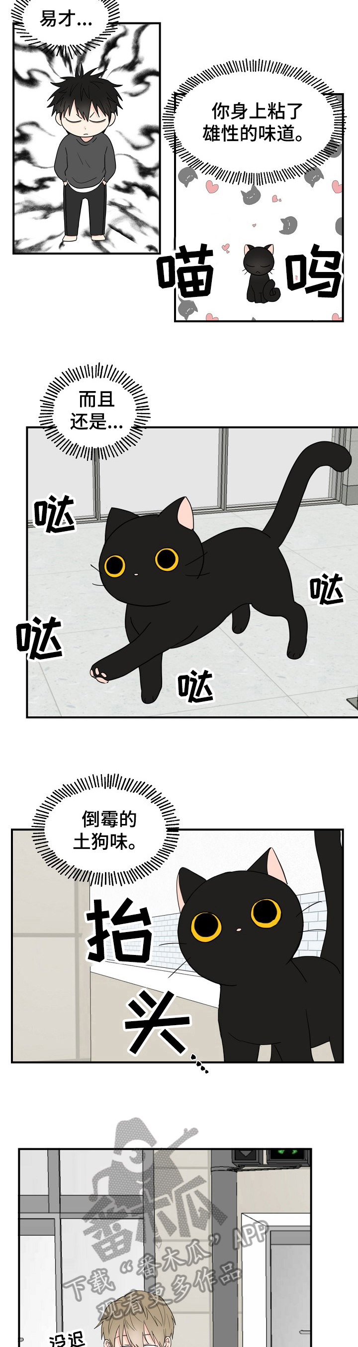 《幸运猫》第4章奇怪 第3页
