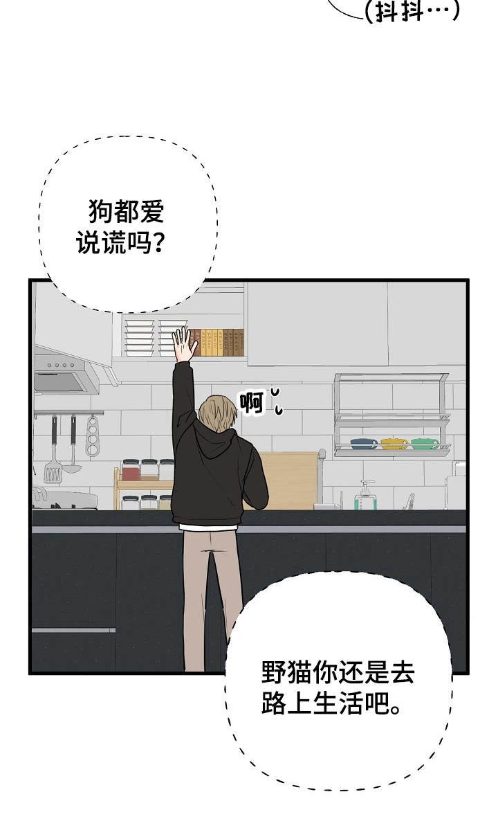《幸运猫》第8章疑惑 第8页