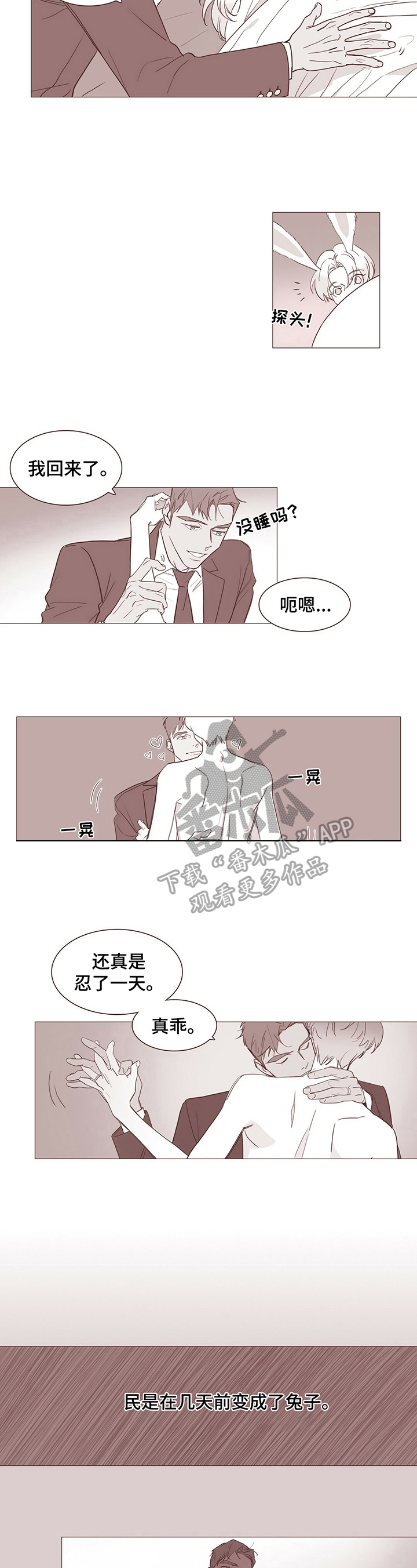 《过度呼吸》第13章【番外】变成兔子 第2页