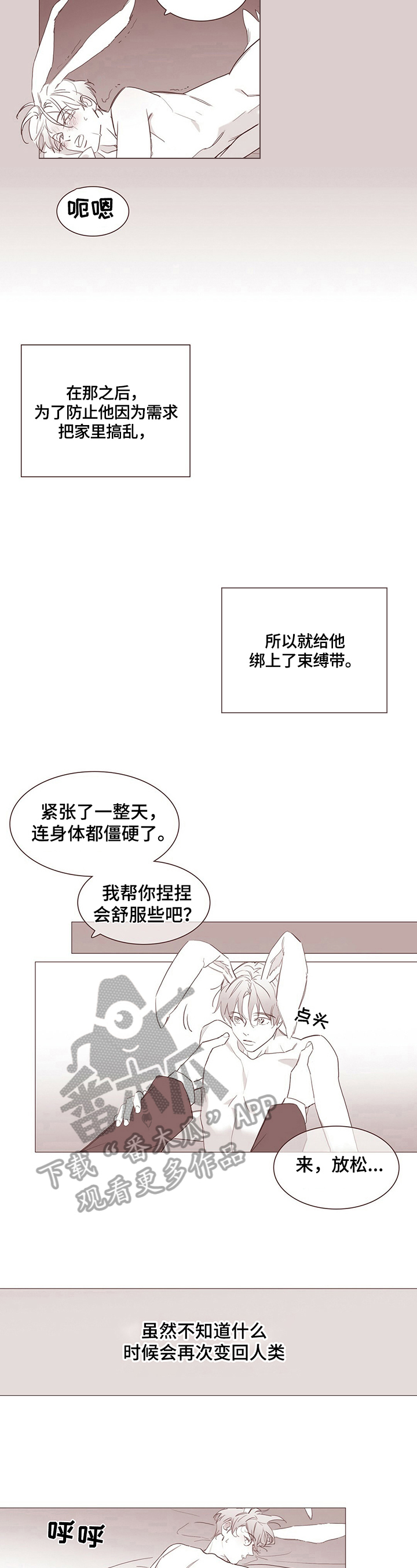 《过度呼吸》第13章【番外】变成兔子 第4页