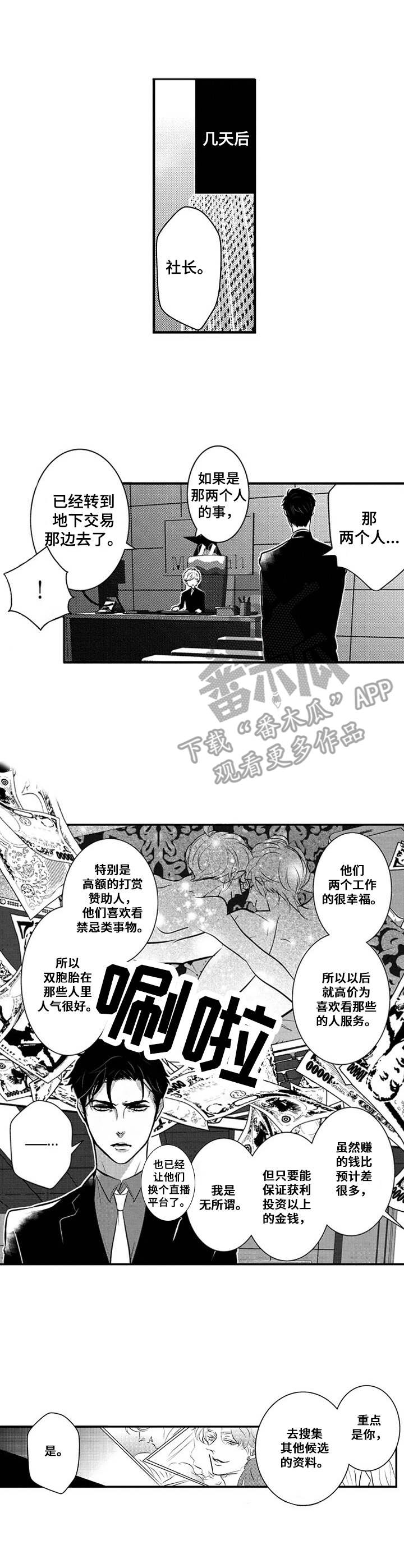 《Ruby危机》第16章新人 第3页