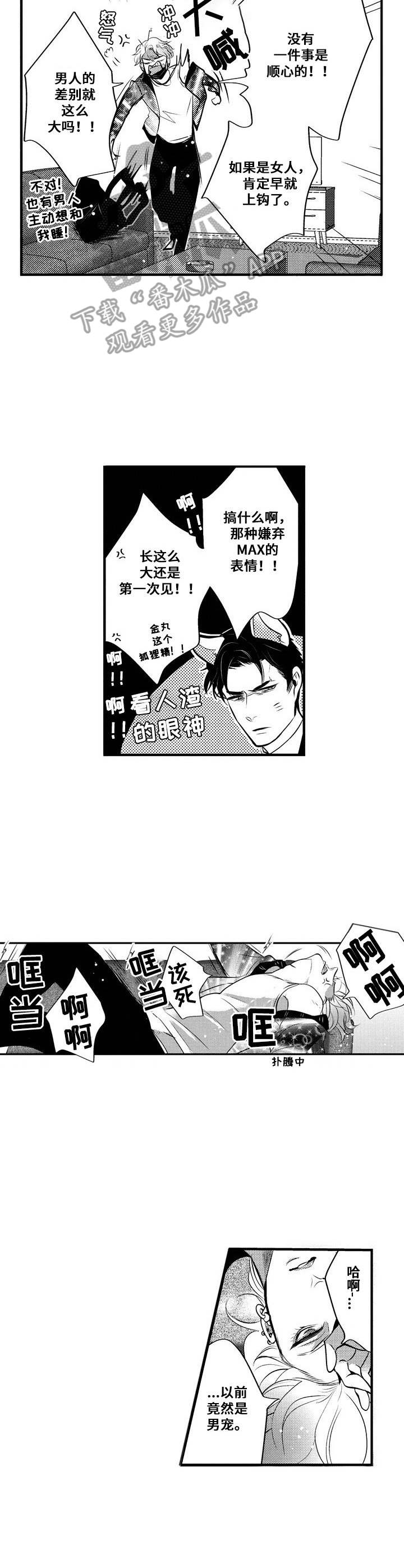《Ruby危机》第6章不顺心 第6页