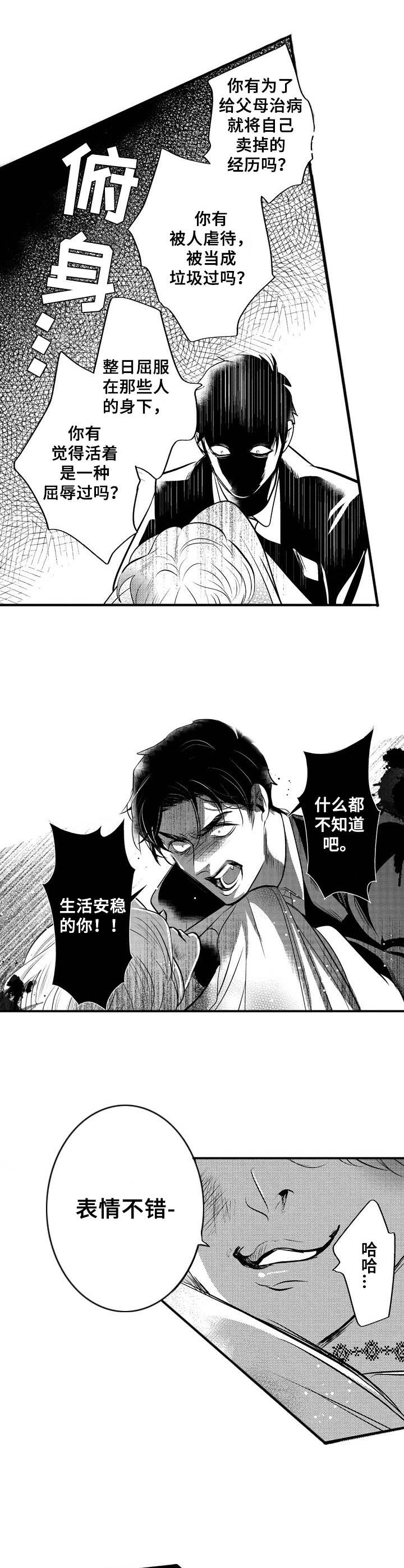《Ruby危机》第10章还债 第10页