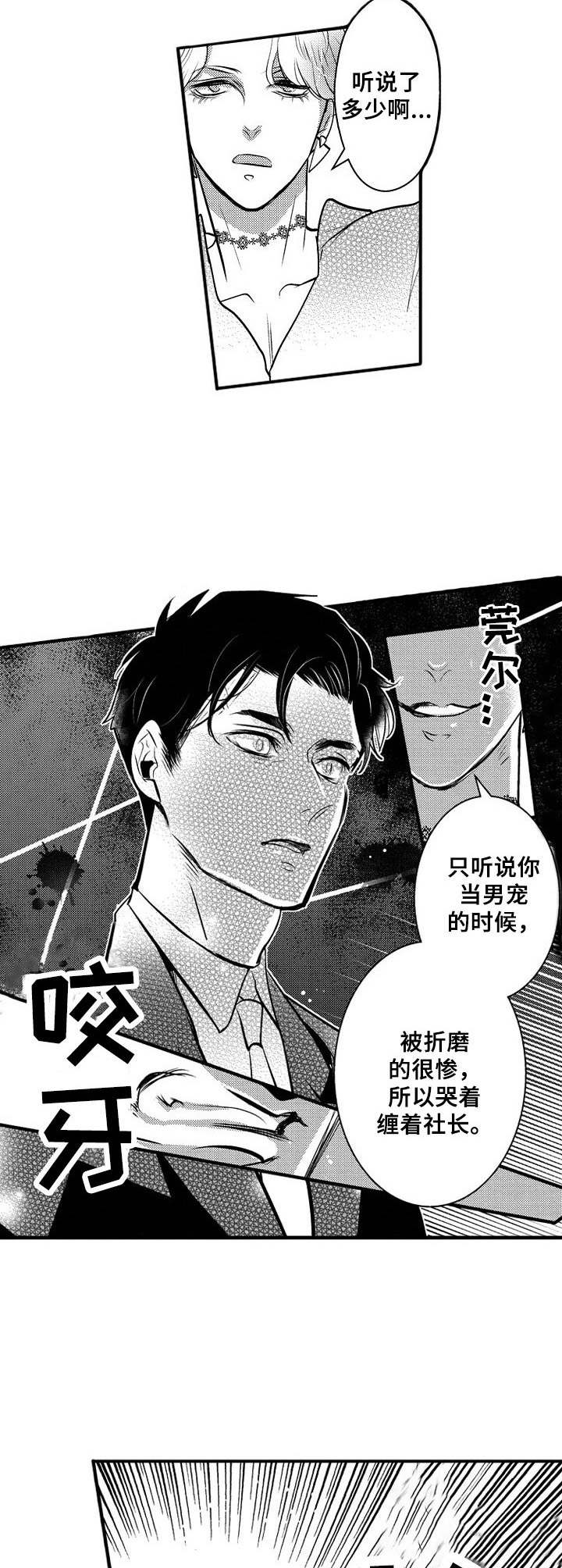《Ruby危机》第10章还债 第8页