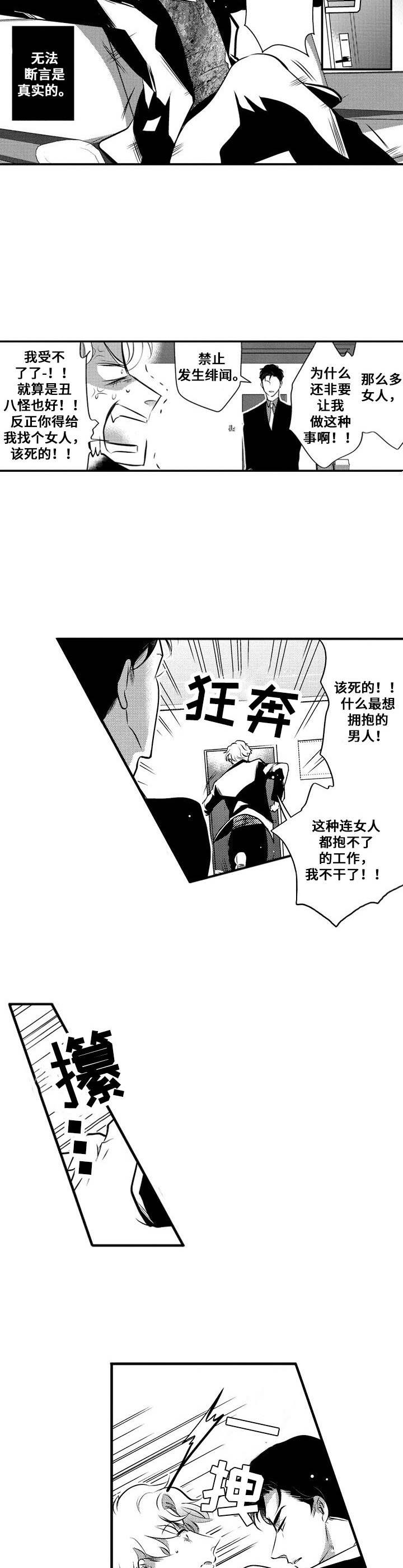 《Ruby危机》第1章偶像 第3页