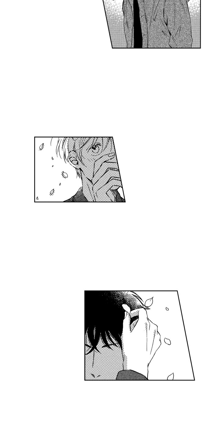 《来自天堂天堂》第24章视线 第3页