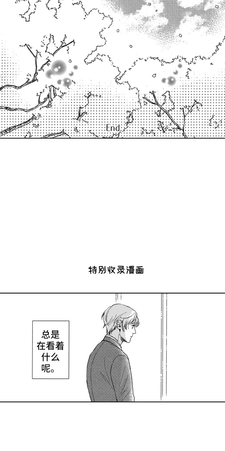 《来自天堂天堂》第24章视线 第8页