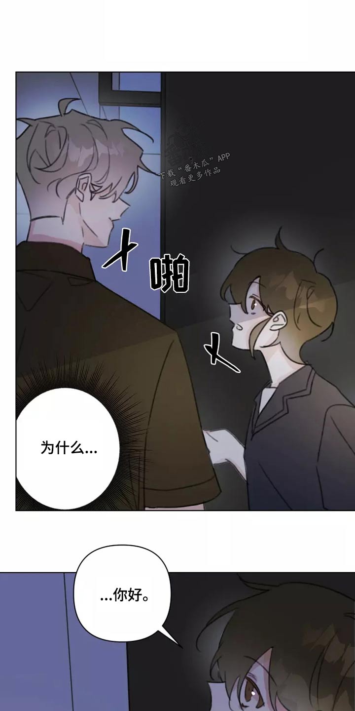 《浪漫的青春》第42章无视 第10页