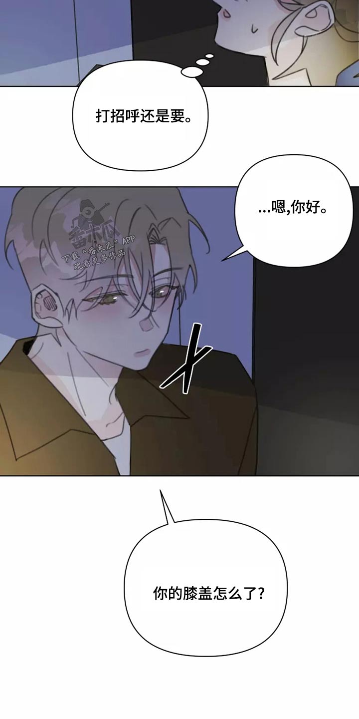 《浪漫的青春》第42章无视 第11页