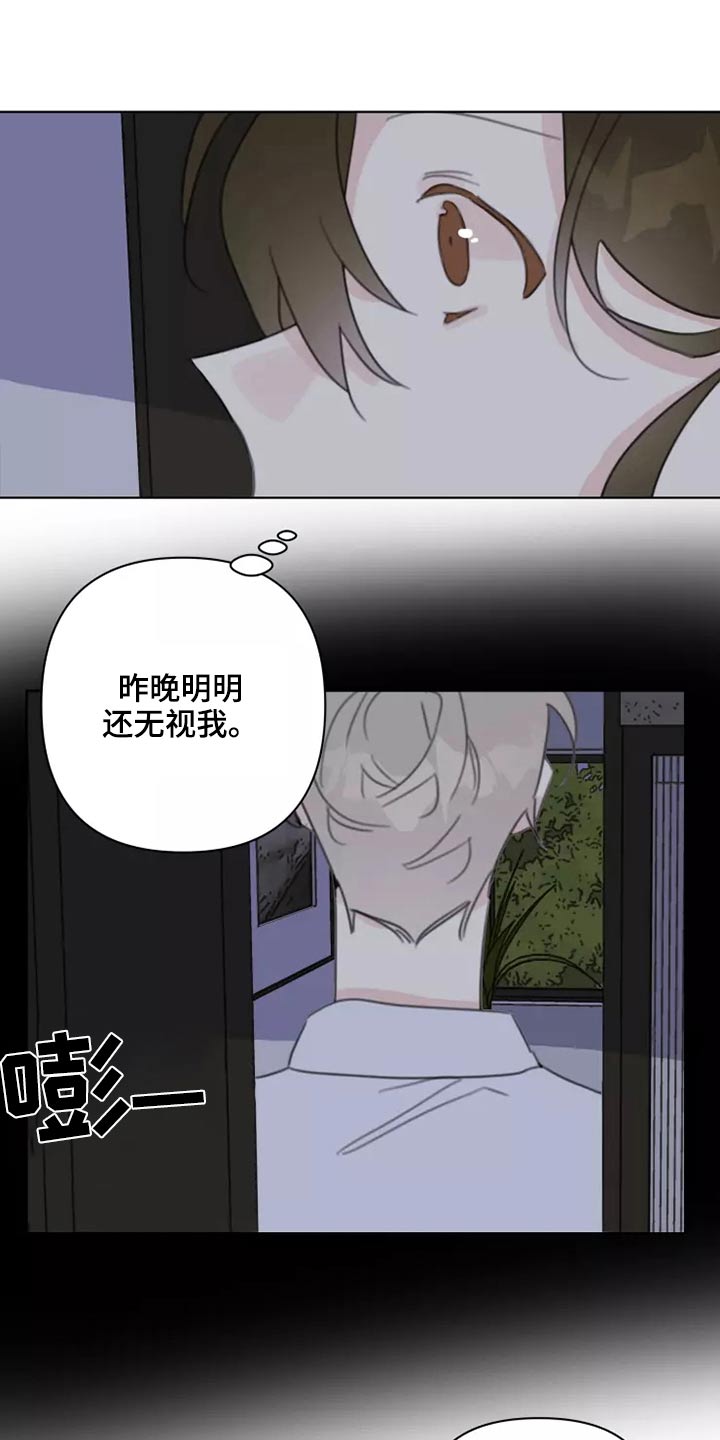 《浪漫的青春》第42章无视 第12页