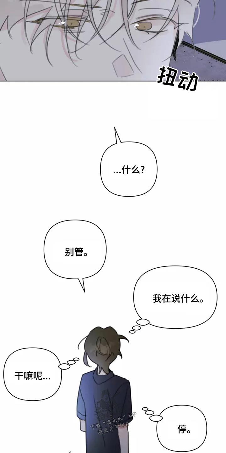 《浪漫的青春》第42章无视 第14页