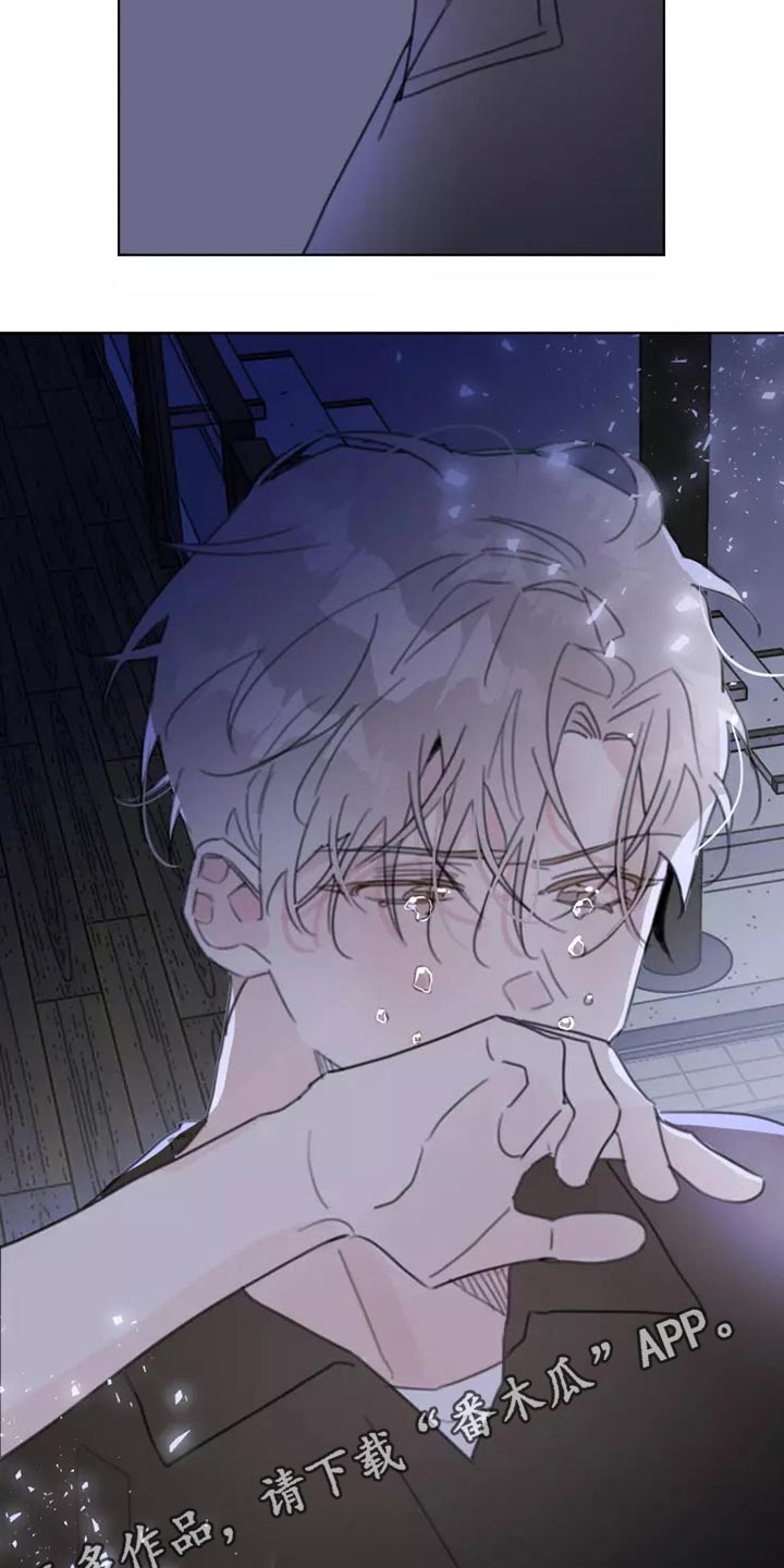 《浪漫的青春》第42章无视 第20页