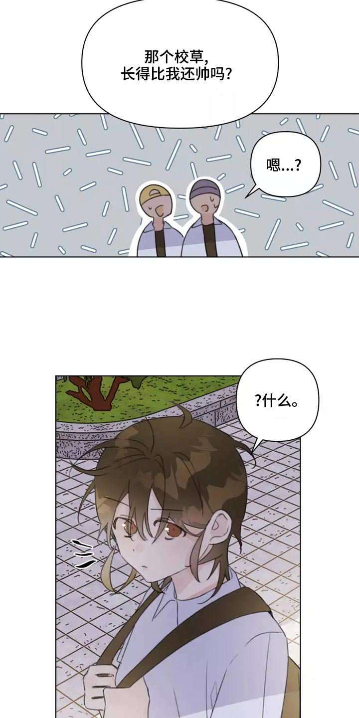 《浪漫的青春》第39章篮球 第13页