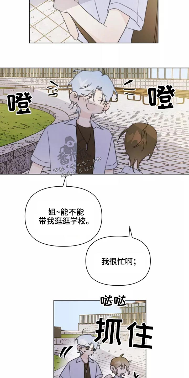 《浪漫的青春》第39章篮球 第14页