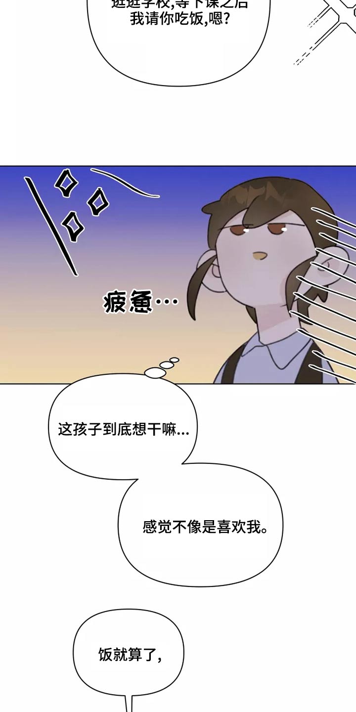 《浪漫的青春》第39章篮球 第17页