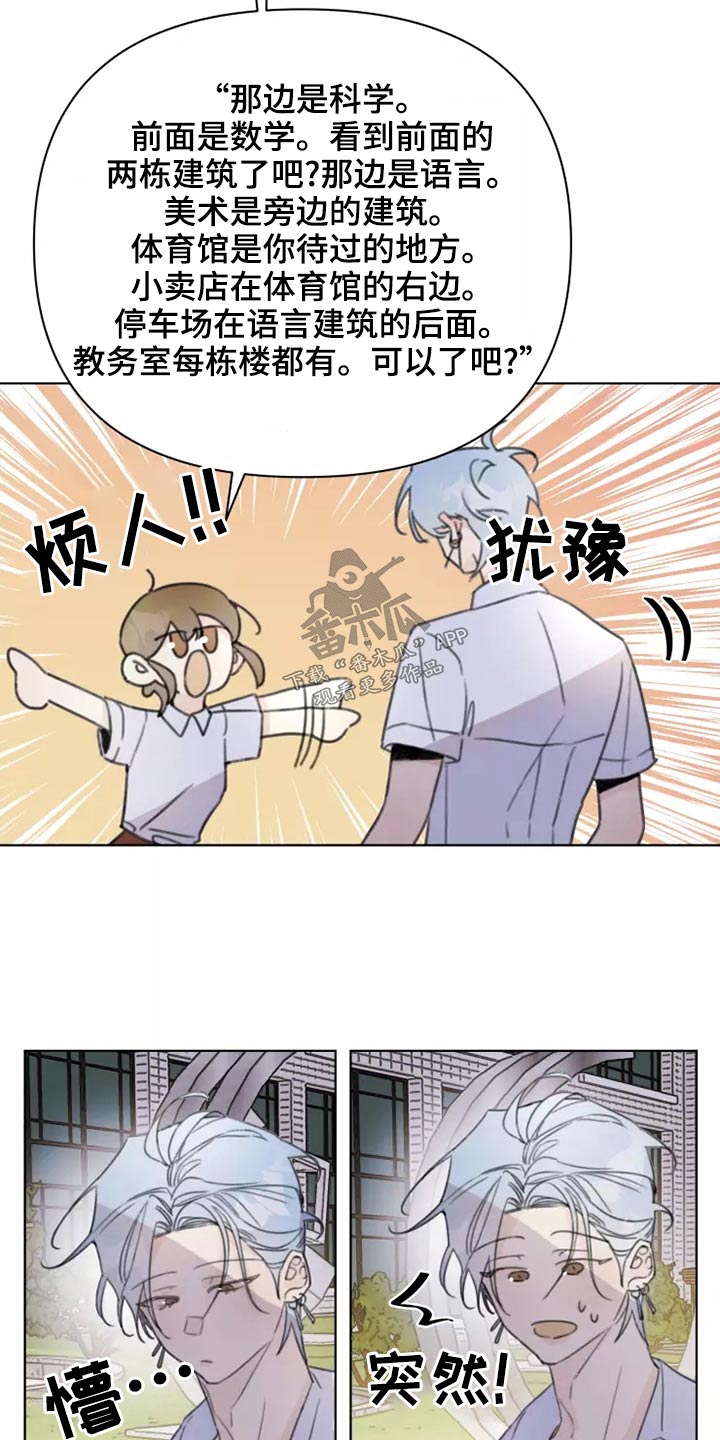 《浪漫的青春》第39章篮球 第18页