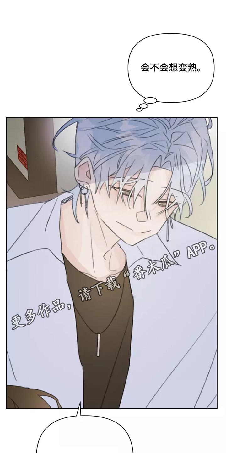 《浪漫的青春》第39章篮球 第1页