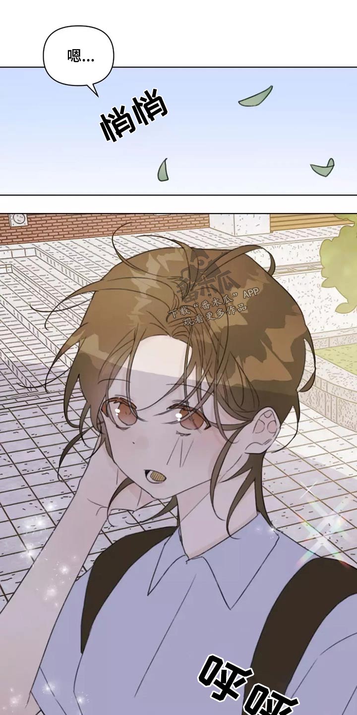 《浪漫的青春》第39章篮球 第21页