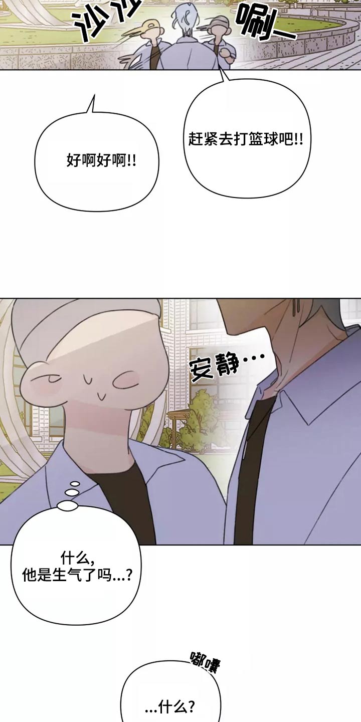 《浪漫的青春》第39章篮球 第24页
