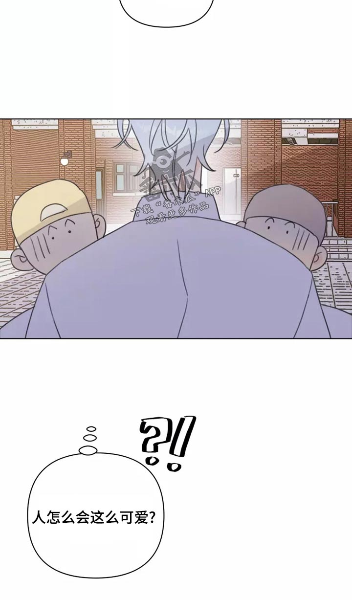 《浪漫的青春》第39章篮球 第25页