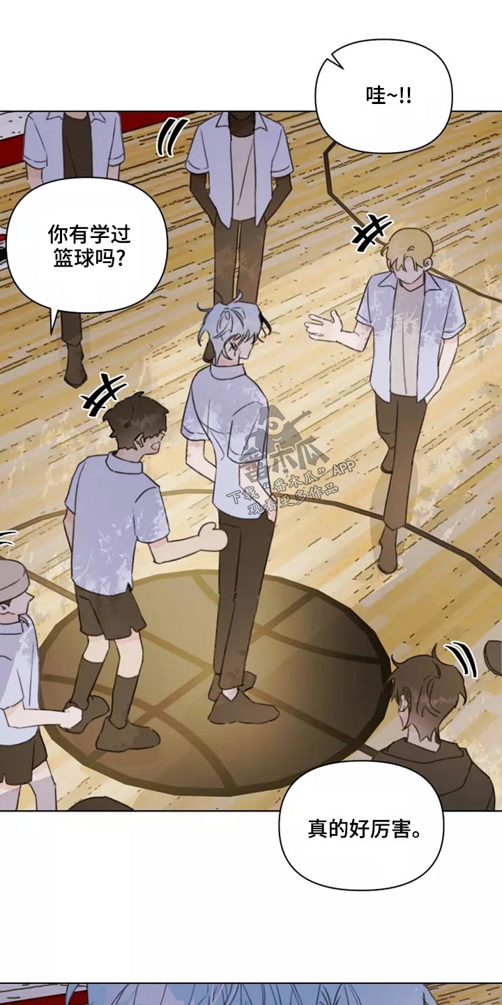 《浪漫的青春》第39章篮球 第6页