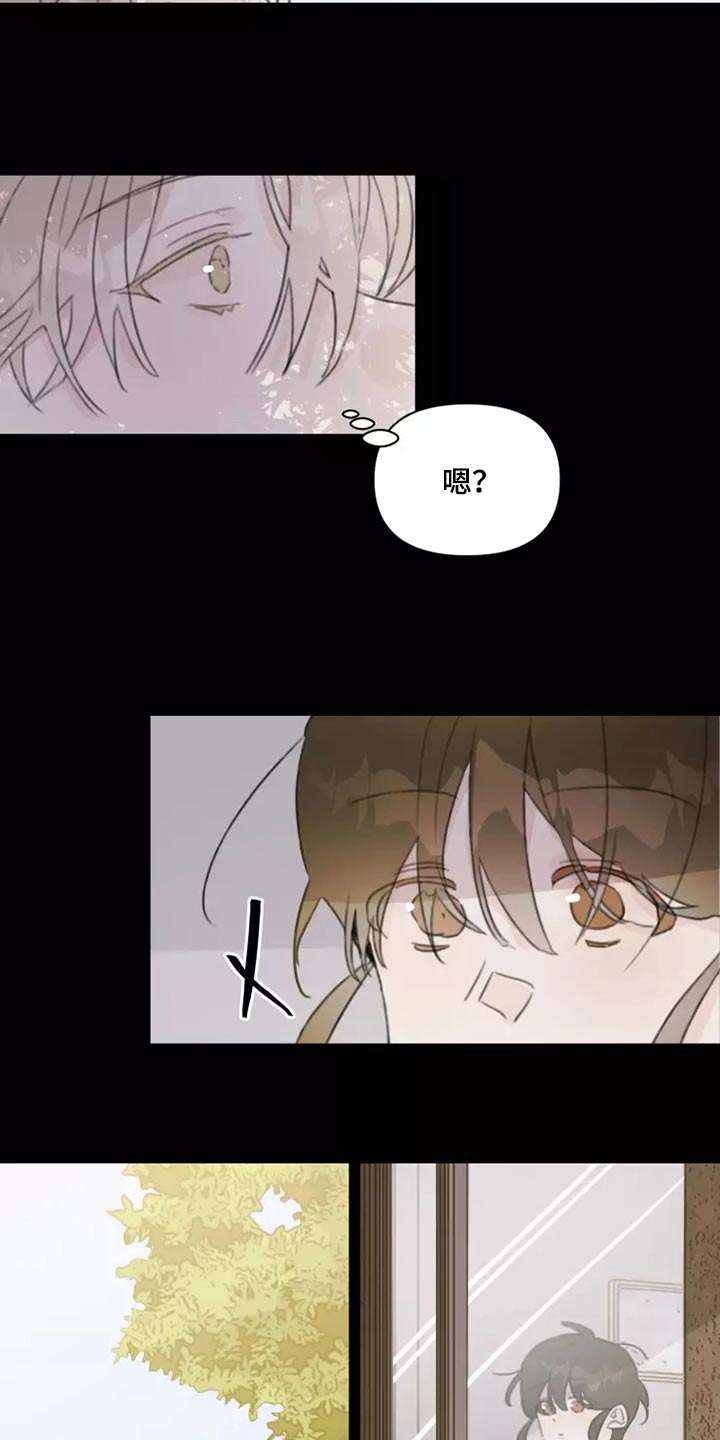 《浪漫的青春》第37章不想见面 第13页