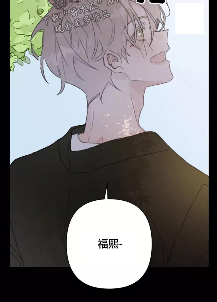《浪漫的青春》第37章不想见面 第15页
