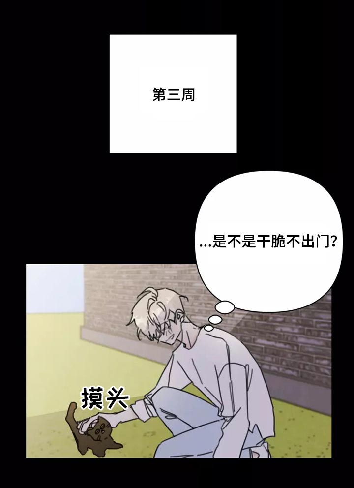 《浪漫的青春》第37章不想见面 第5页