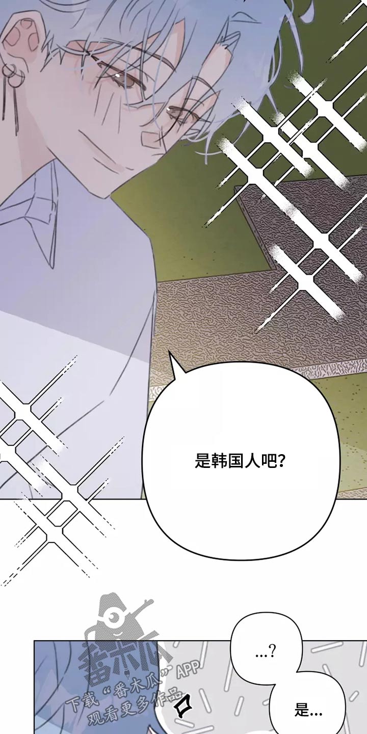 《浪漫的青春》第38章转学生 第10页