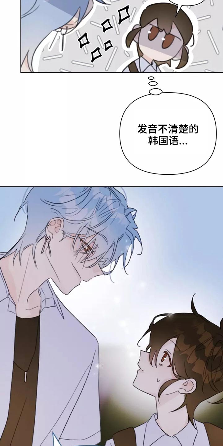 《浪漫的青春》第38章转学生 第11页