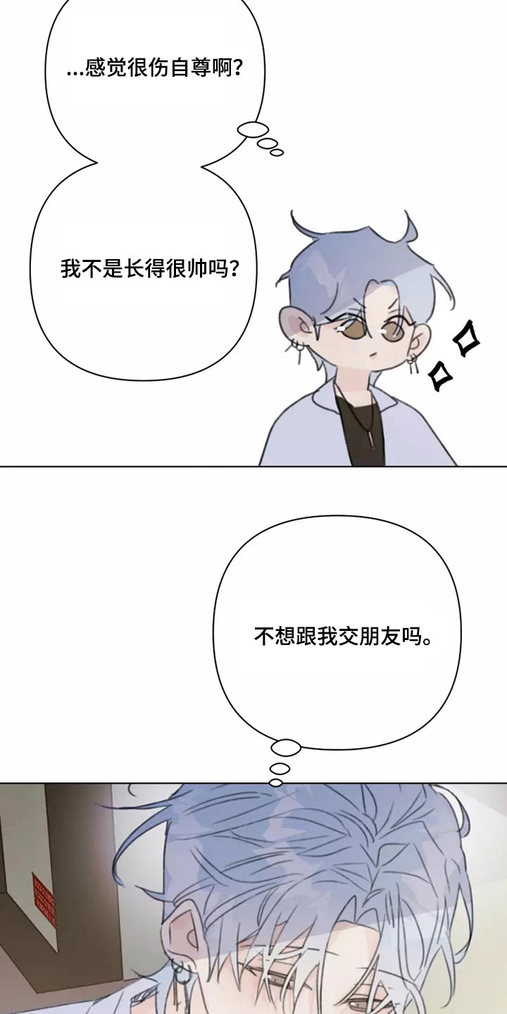 《浪漫的青春》第38章转学生 第23页