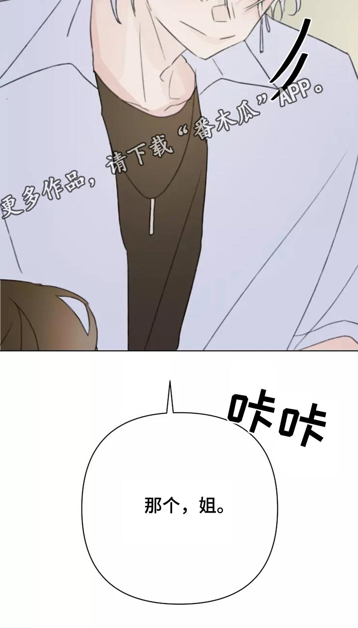 《浪漫的青春》第38章转学生 第24页