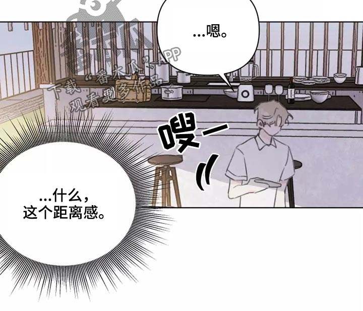 《浪漫的青春》第38章转学生 第3页