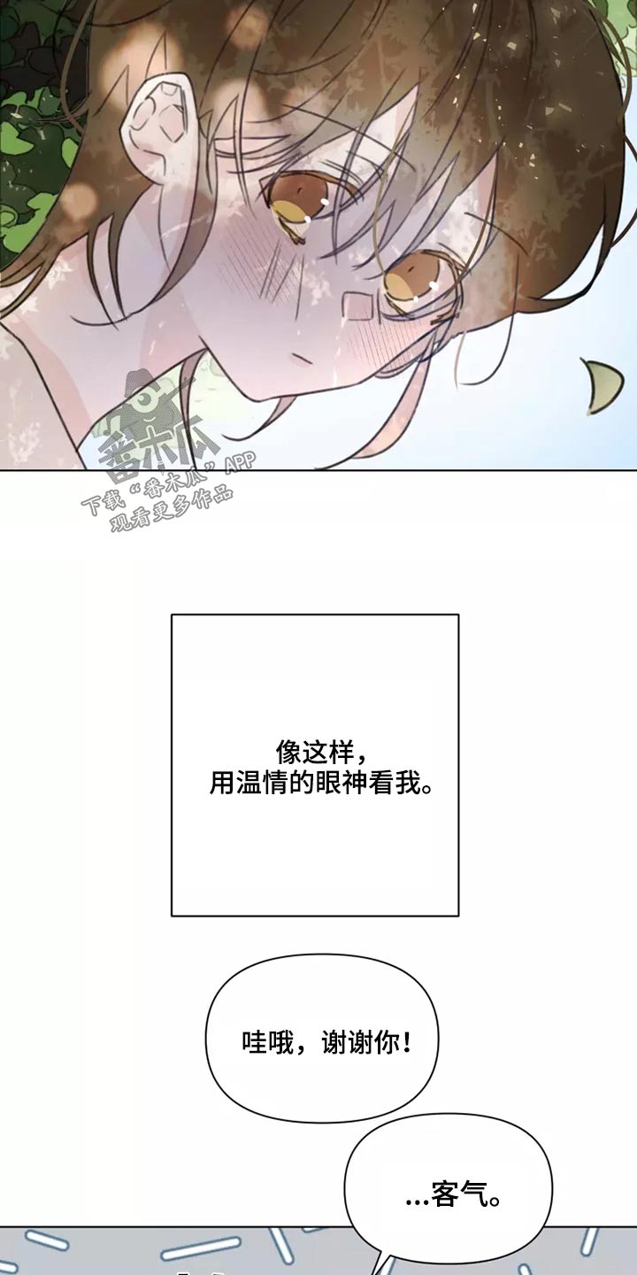 《浪漫的青春》第33章心态 第15页