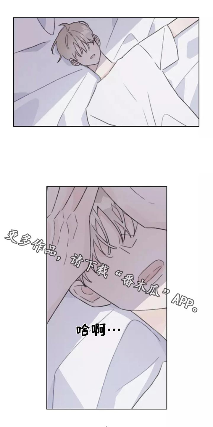 《浪漫的青春》第33章心态 第1页