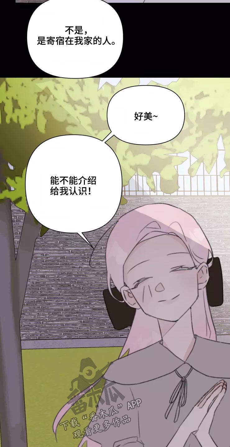 《浪漫的青春》第32章试探 第15页