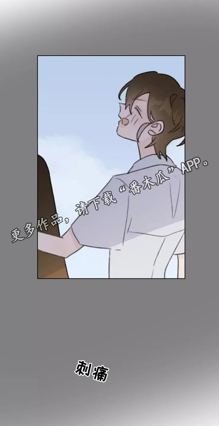《浪漫的青春》第32章试探 第20页