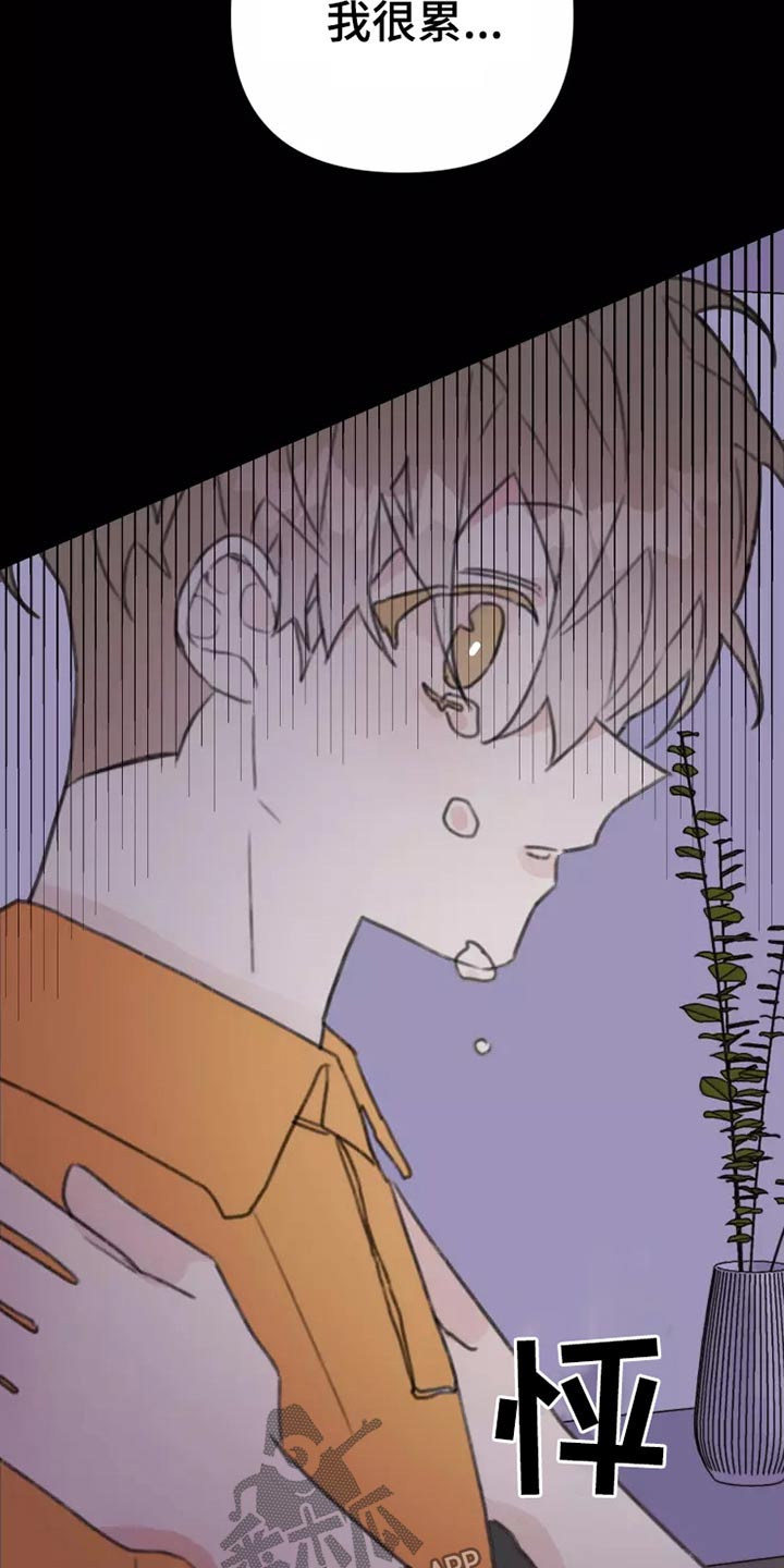 《浪漫的青春》第27章姐姐 第11页