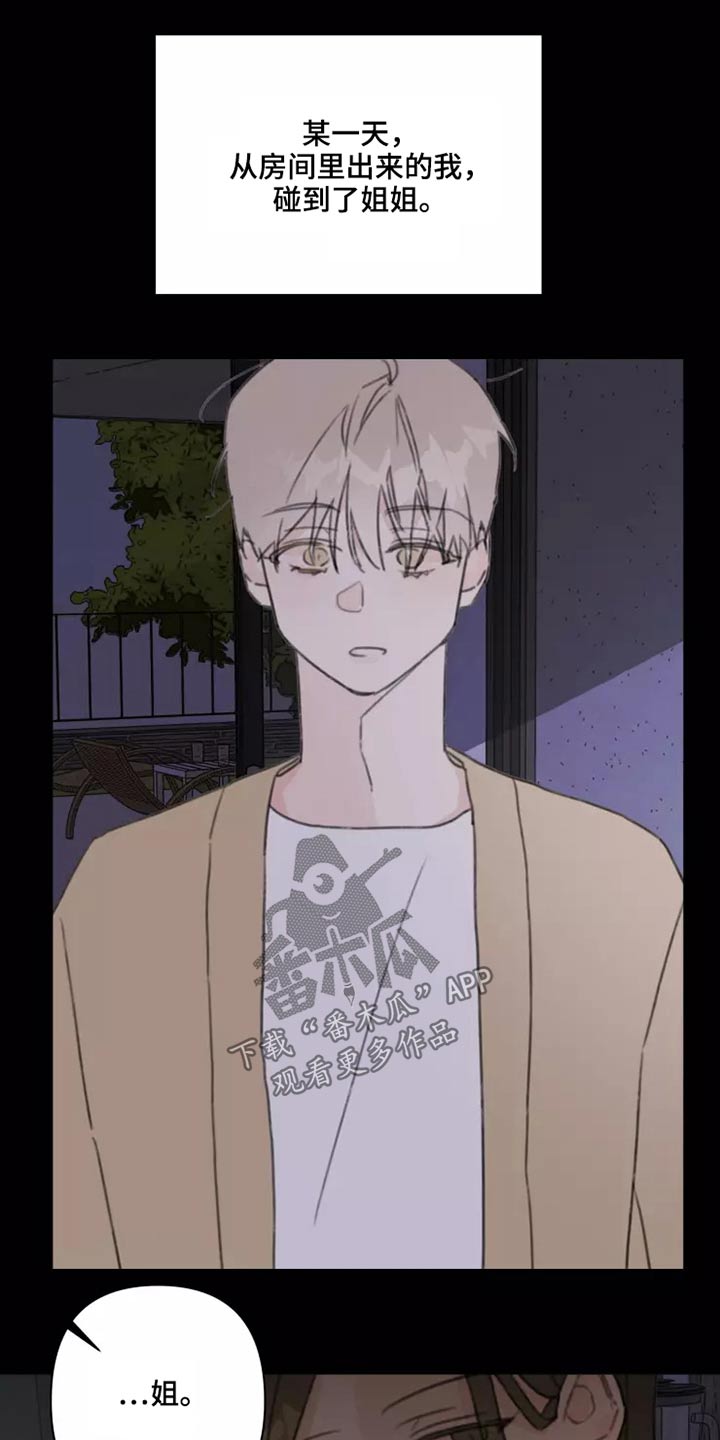 《浪漫的青春》第27章姐姐 第17页